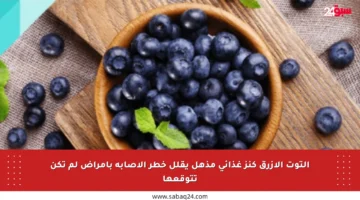 التوت الأزرق كنز غذائي مذهل يقلل خطر الإصابة بأمراض لم تكن تتوقعها